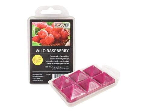 Διαχύτες Αρωμάτων - Αρωματικά Χώρου Gala Waxmelts Pyramid Wild Raspberry 6 Pieces