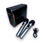 Φορητό ηχείο Bluetooth με 2 μικρόφωνα Karaoke - PR-1016 - 241373