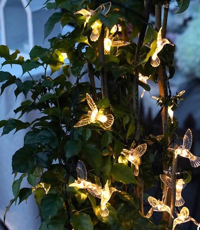 Ηλιακή γιρλάντα φωτισμού LED - String Bird - 5m+1m - 20D - 152875 - Warm White
