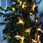 Ηλιακή γιρλάντα φωτισμού LED - String Bird - 5m+1m - 20D - 152875 - Warm White