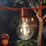 Party Lights Party Lights Bulbs 50Led Red B