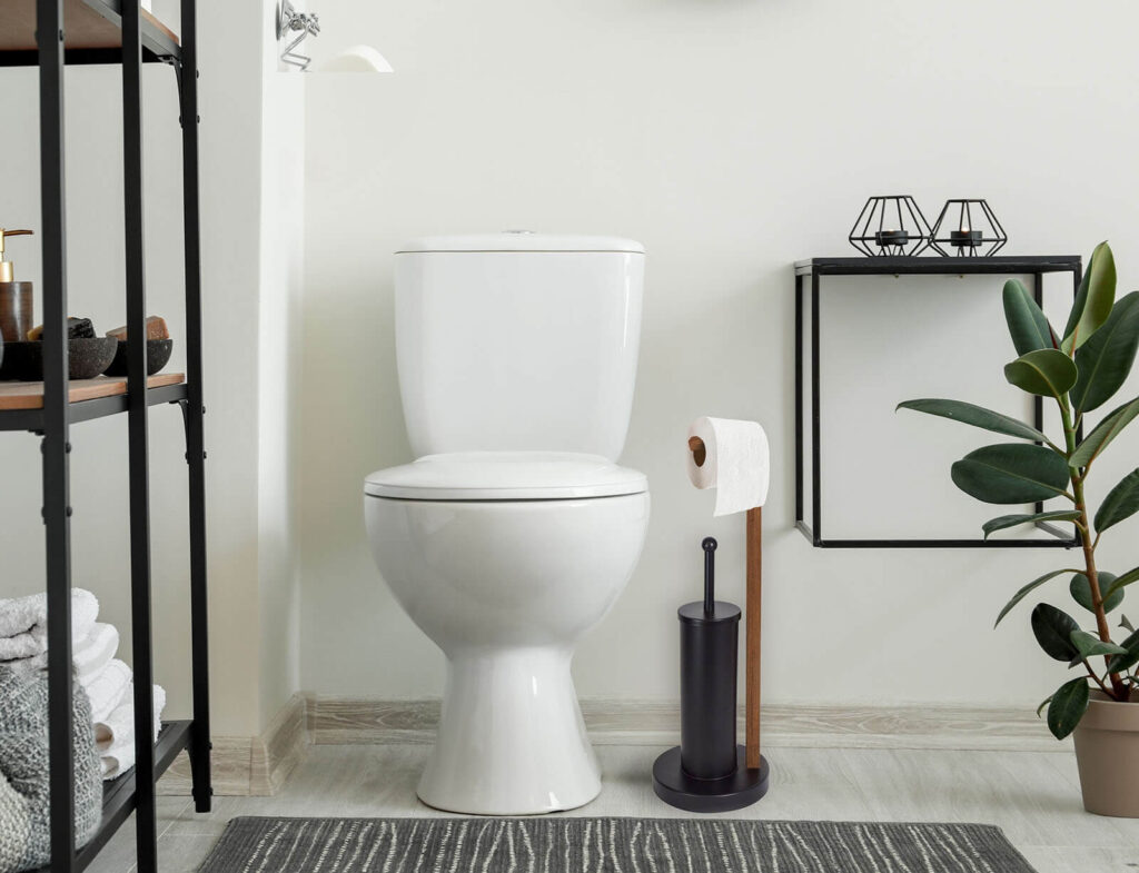 Αξεσουάρ Μπάνιου Aurora 2-In-1 Toilet Roll Holder - Black S