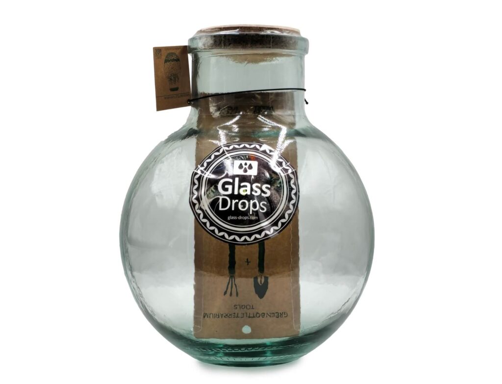 Διακόσμηση Σε Γυάλινο Design Bottle Glass Drops Green Terrarium Me Εργαλεια 31C