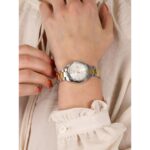 Γυναικεία Ρολόγια Casio LTP1302PSG7AV (Ø 34,5 mm)