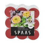 Κεριά Διακοσμητικά Spaas Scented Tea Lights Tropical Delight 4 Cm Set