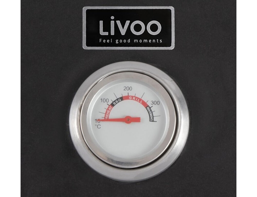 Ψησταριές Βarbeque  Φουρνος Pizza Για Barbeque Livoo Gs149