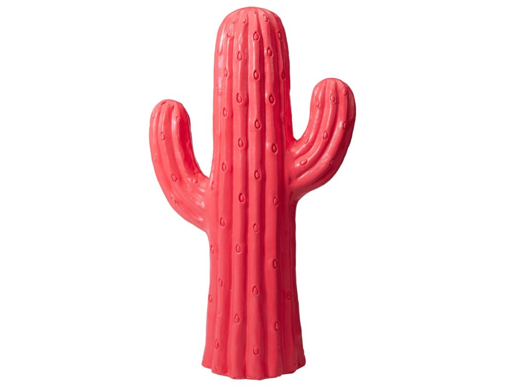 Διακόσμηση & Οργάνωση Μπαλκονιού Cactus Mgo 23X40Cm Fuchsia