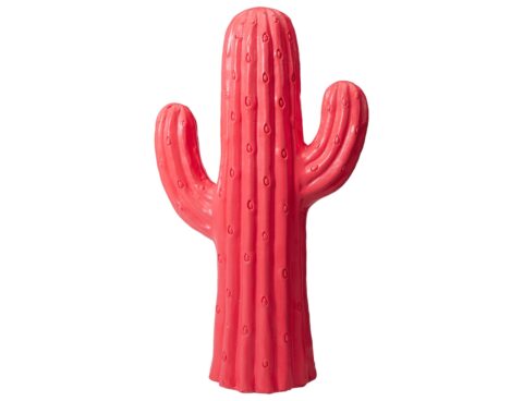 Διακόσμηση & Οργάνωση Μπαλκονιού Cactus Mgo 23X40Cm Fuchsia
