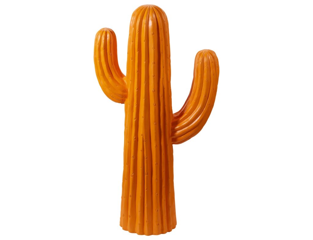 Διακόσμηση & Οργάνωση Μπαλκονιού Cactus Mgo 42X77Cm Orange