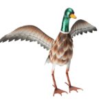 Διακόσμηση & Οργάνωση Μπαλκονιού Duck Metal 41X35X40Cm