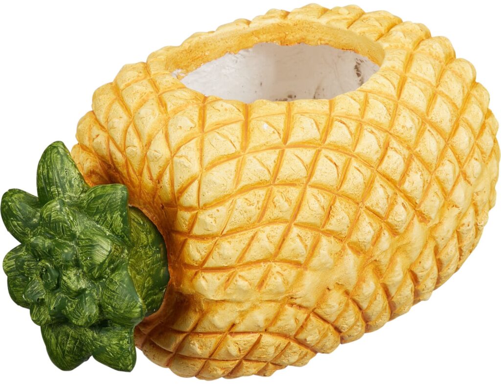Διακόσμηση & Οργάνωση Μπαλκονιού Flowerpot Fruits Mgo 4Ass