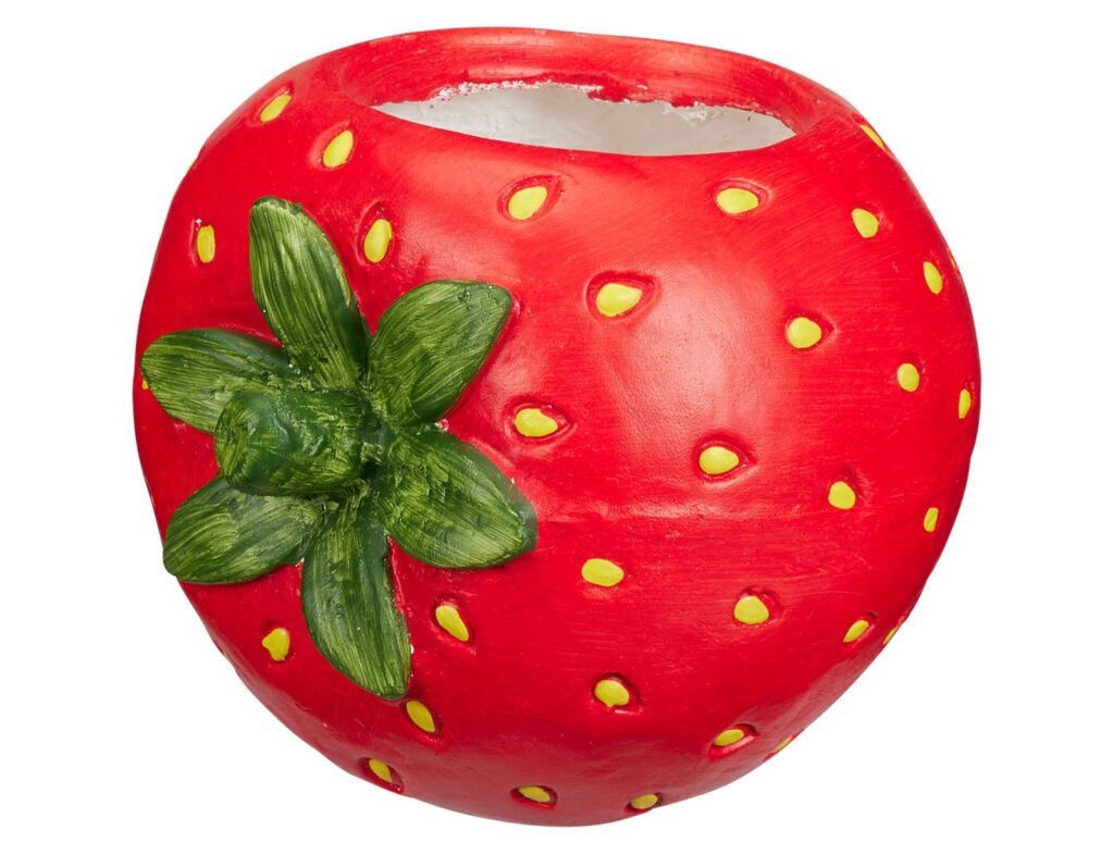 Διακόσμηση & Οργάνωση Μπαλκονιού Flowerpot Fruits Mgo 4Ass