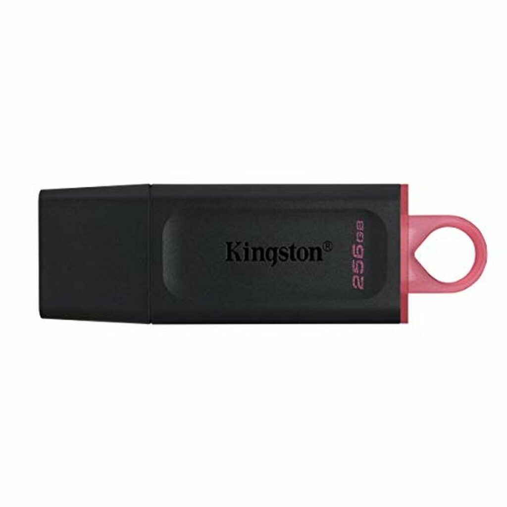Στικάκι USB Kingston DTX/256GB Μπρελόκ-αλυσίδα Μαύρο 256 GB