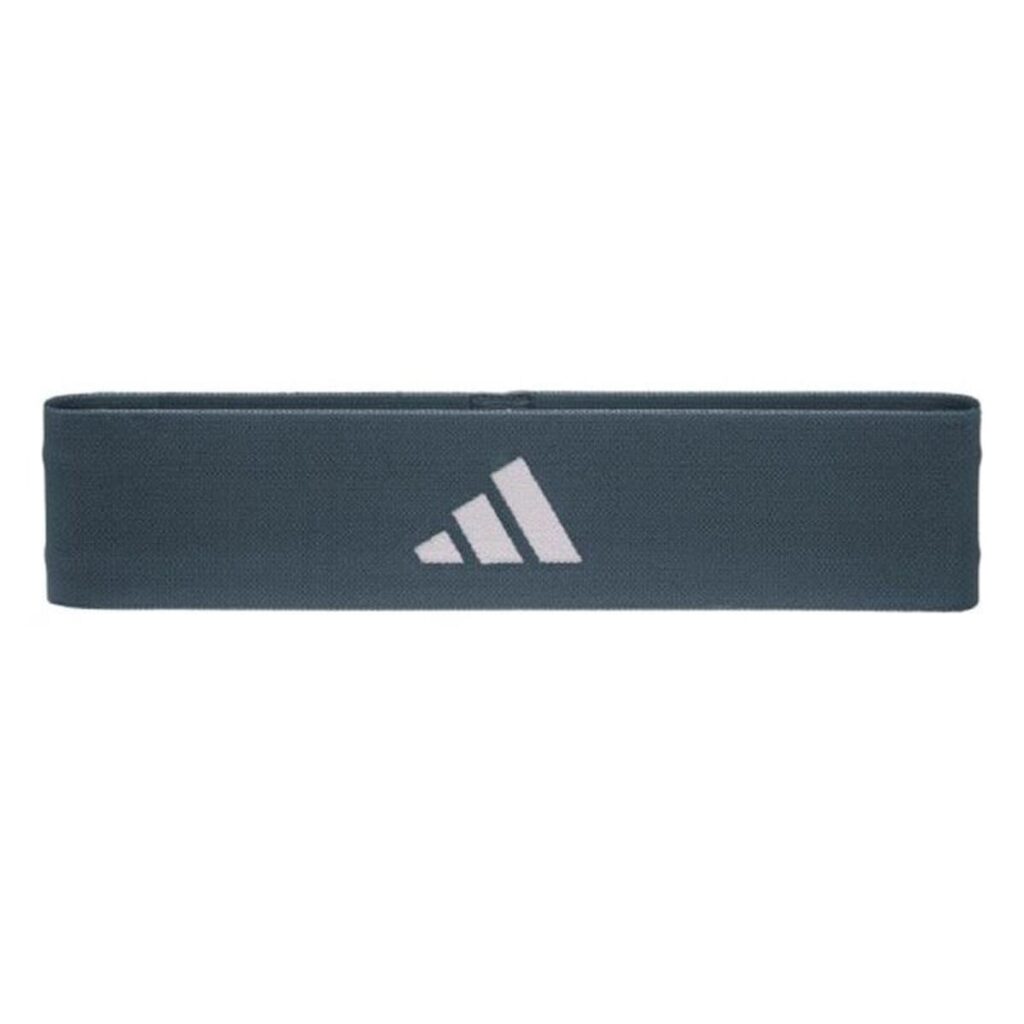 Ζώνες ελαστικής αντίστασης Adidas ADTB-10711-2-NL Βιολετί